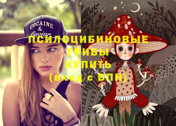 эйфоретик Верхний Тагил